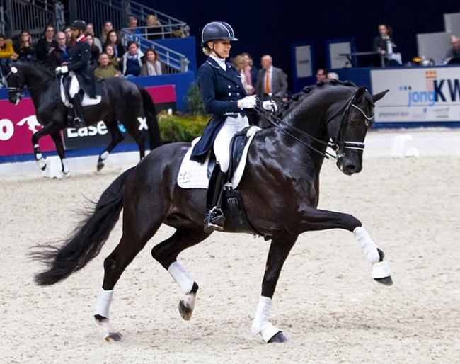 Cum Laude (by Apache x Weltmeyer)