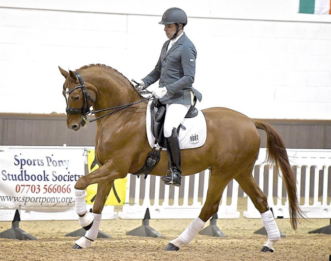 Woodlander Wavavoom :: Photo © Horse Power Creative