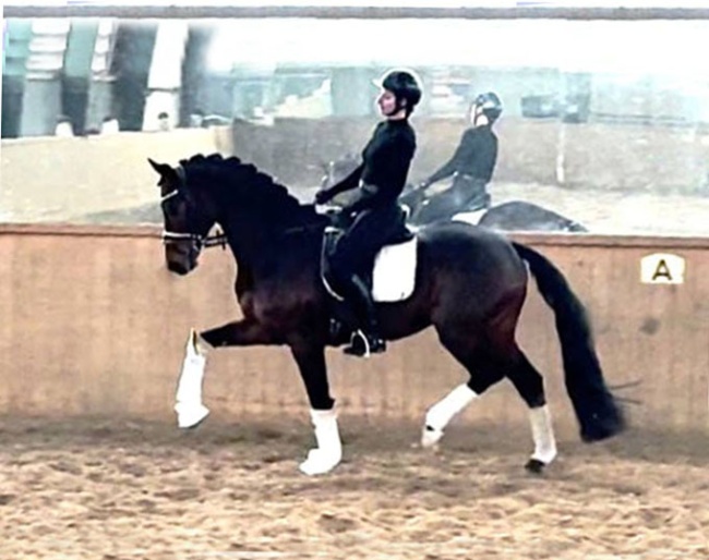 Susanne Krohn on the 5-year old Zackham 