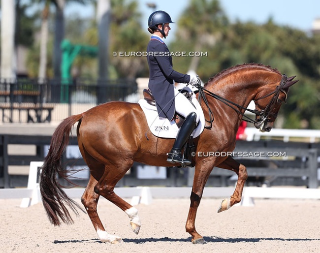 Adrienne Lyle and My Vitality debut in the Intermediaire II at the 2026 CDN Wellington on 6 Frebruary 2026 :: Photo © Astrid Appels