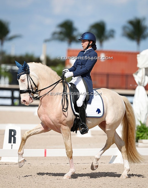 Catherine Malone and the 8-year old stunningly talented Lusitano  Opium SR (Guardião do Penedo x Pino) :: Photo © Astrid Appels