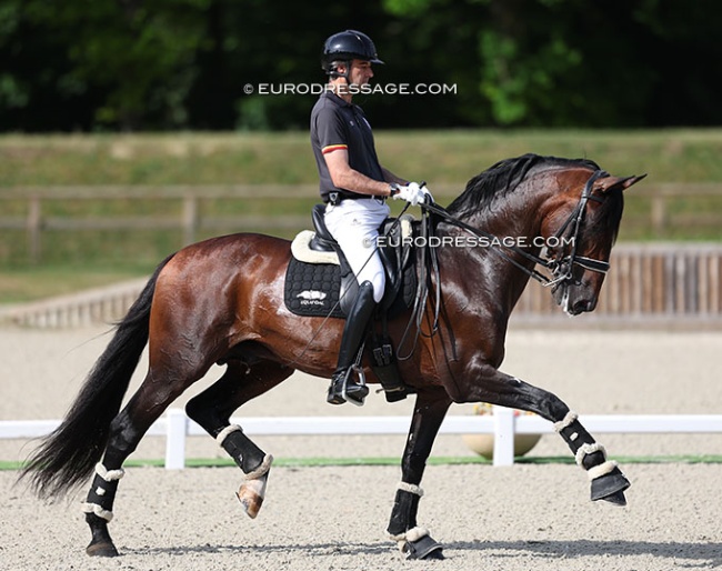 Alejandro Asencio and Gaviao dos Cedros at the 2025 CDIO Compiegne :: Photo © Astrid Appels