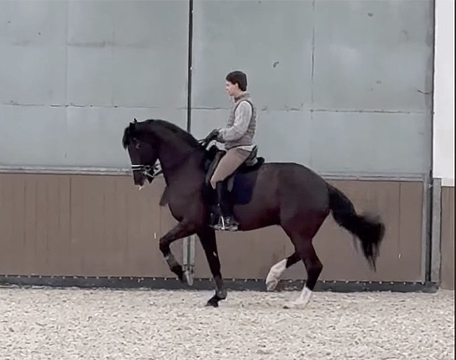 Nico Nyssen and Kylian