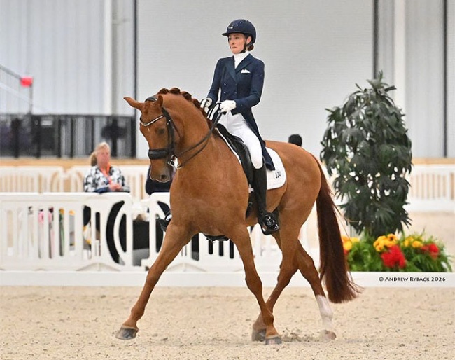 Claire Darnell and Harrold S at the 2026 CDI Ocala :: Photo © Andrew Ryback