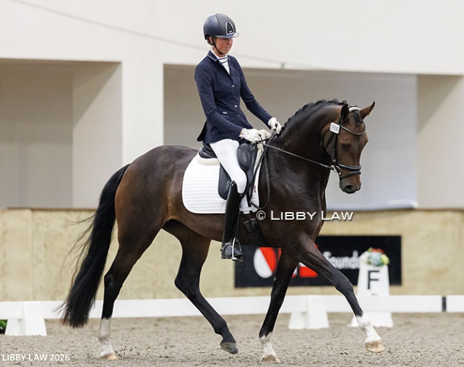 Holly Moorman and Rokeby La Belle at the 2026 New Zealand Young Horse Championships :: Photos © Libby Law