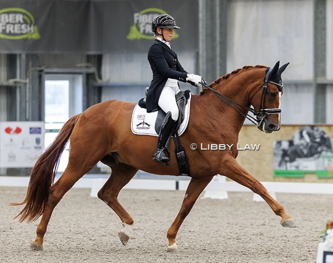 Wendi Williamson and Don Vito MH win the 2026 New Zealand Grand Prix Championships :: Photo © Libby Law