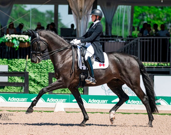 Brittany Fraser-Beaulieu and Medoc at the 2026 CDIO Wellington :: Photos © Centre Line Media