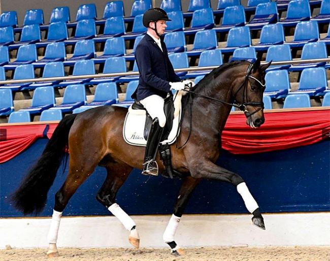 Besandro Gold (by Best of Gold x Sandro Hit)