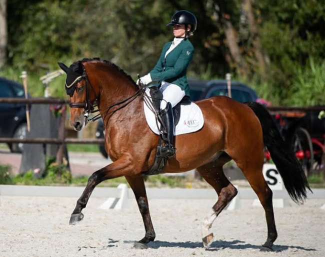 San Diego (by Quartier Latin x Caro)