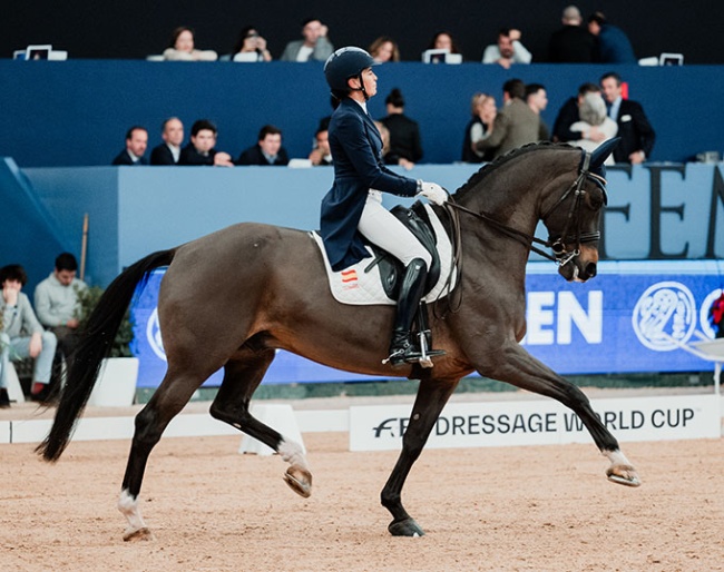 Beatriz Ferrer-Salat on Elegance at the 2024 CDI-W Madrid
