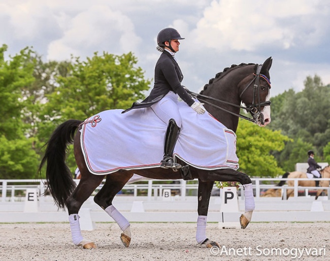 Compete at the 2026 CDI-W Pilisjaszfalu :: Photo © Anett Somogyvari