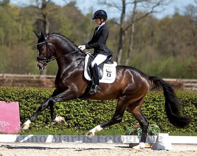 Charlotte Fry and Real Dream at the first Dutch WCYH team selection trial of 2026 :: Photo © Timo Martis