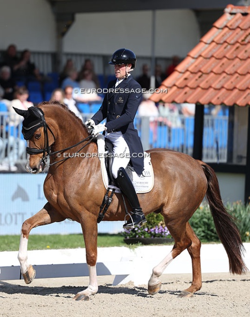 Frederic Wandres and Imo Pectore in the Louisdor Cup warm-up round at the 2026 CDI Hagen :: Photo © Astrid Appels