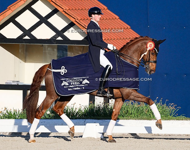 Frederic Wandres and Veuve Clicquot won the warm-up round of the Louisdor Cup qualifier at the 2026 CDI Hagen :: Photo © Astrid Appels