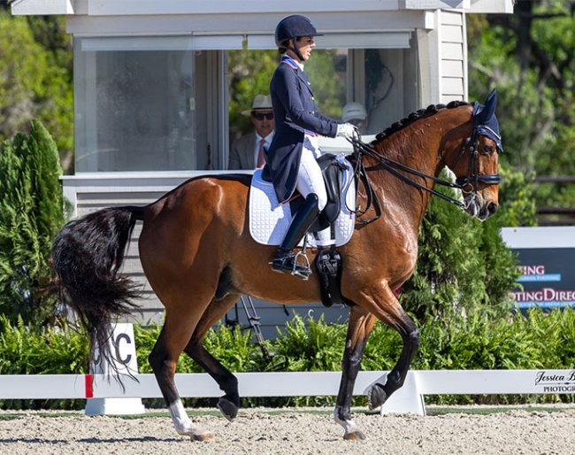Kasey Perry-Glass and Heartbeat WP at the 2026 CDI Myakka City :: Photos © Jessica Buehler