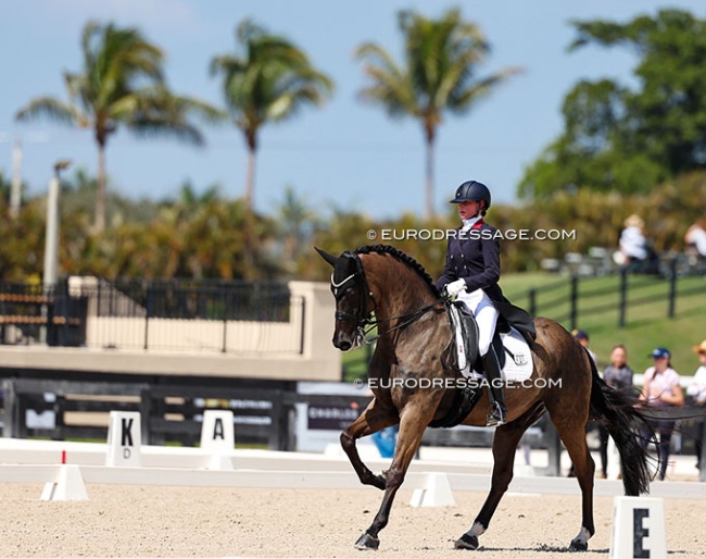 Sarah Daehnert on the fabulous Indiana Jones in the national dressage ring :: Photo © Astrid Appels