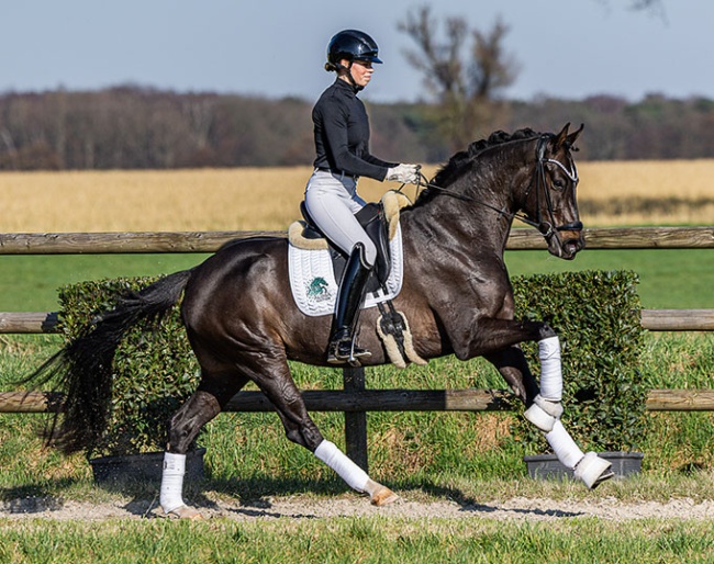 Euphoria (by Escolar x Furst Fugger)