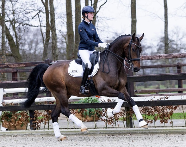 Next Romance (by For Romance x Havel)