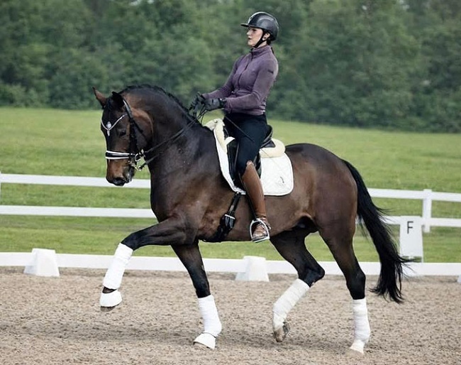 Divine Intervention (by Despacito out of Scara Boa FRH)