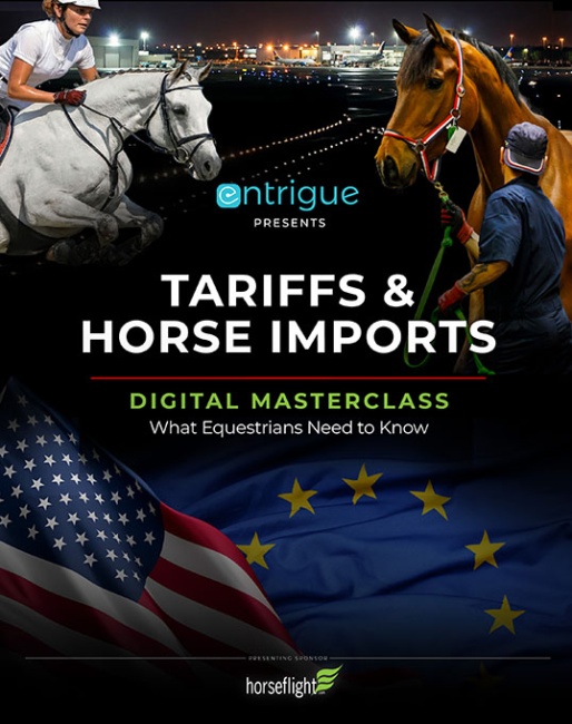 dual masterclass webinar on tariffs and horse import, hosted by Entrigue and powered by Horseflight