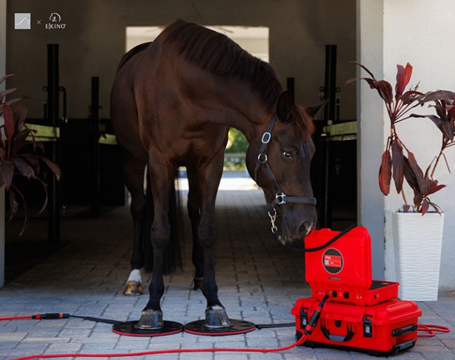 Pulsed Electromagnetic Field Technology by E-Kino