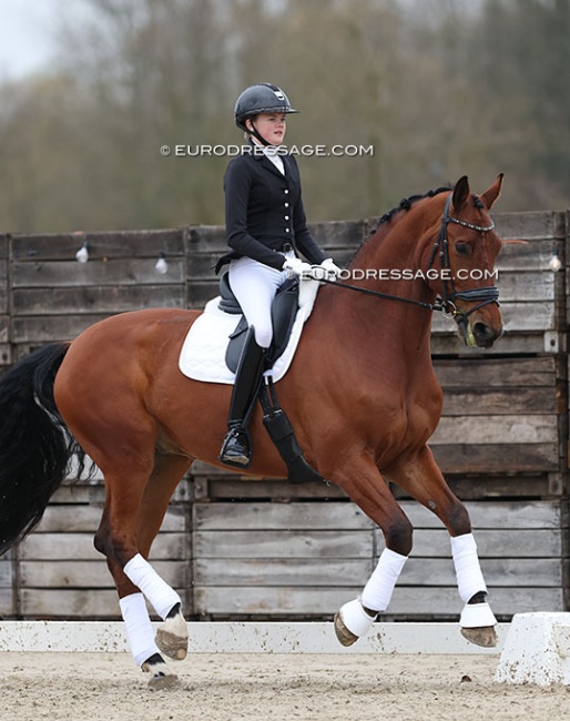 Matilde Malmberg on AC's Pik Midaz at the 2023 CDI Sint-Truiden :: Photo © Astrid Appels