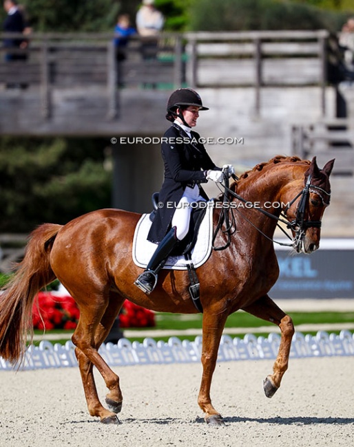 Rachel Bastady and Quintesse (by Quaterback x Silvio) at the 2026 CDIO Fontainebleau :: Photo © Astrid Appels