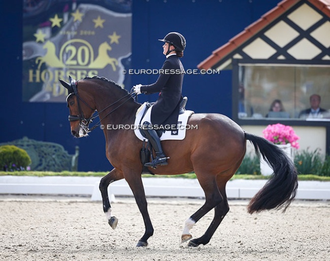 Cathrine Dufour and Mount St. John Freestyle at the 2026 CDI Hagen :: Photo © Astrid Appels