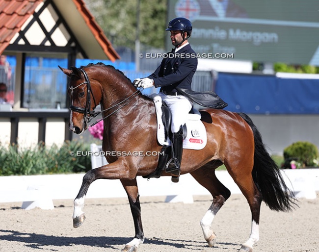 Dannie Morgan and Fever Tree at the 2026 CDI Hagen :: Photo © Astrid Appels