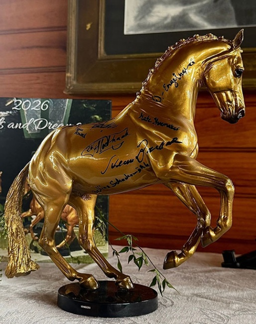 Valegro Breyer Model signed by 19 prolific equestrians to raise funds for brain cancer research at Duke University