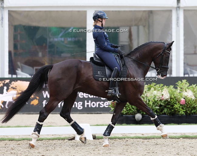 Yvonne Osterholm and Soretto at the 2025 World Young Horse Championships :: Photo © Astrid Appels