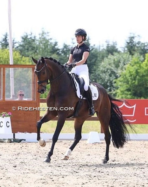 Anne-Mette Strandby Hansen and EVO Ivy Blue at the first Danish WCYH team selection trial :: Photo © Ridehesten