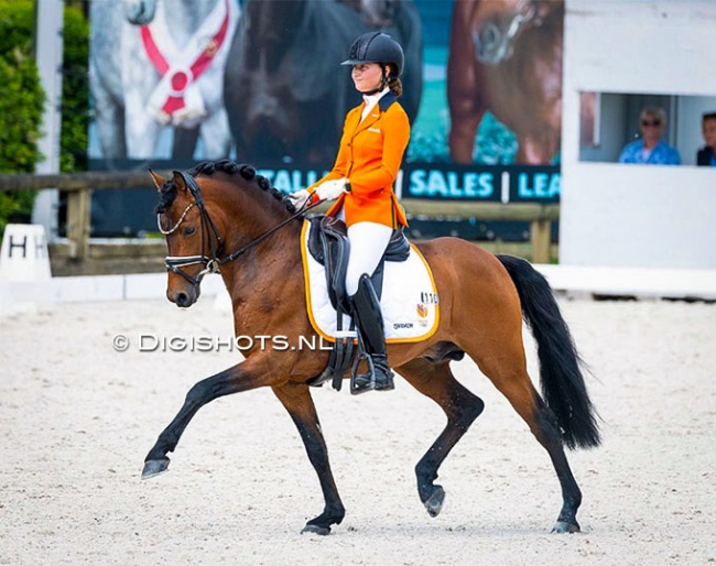 Esmae Niessen on Alfons Rieg' German bred and owned Ganymed W at the 2026 CDIO Lier :: Photo © Digishots