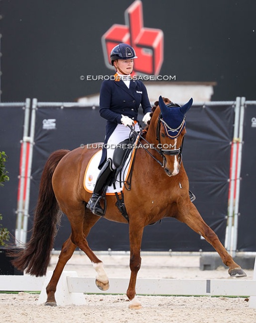 Feline Niessen and Quinn at the 2026 CDIO Lier :: Photo © Astrid Appels