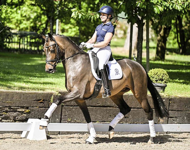 Fame (by Furst Jazz x Sir Donnerhall)