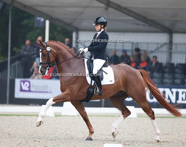 Mafalda Galiza mendes and Belcanto HB at the 2024 World Young Horse Championships :: Photo © Astrid Appels