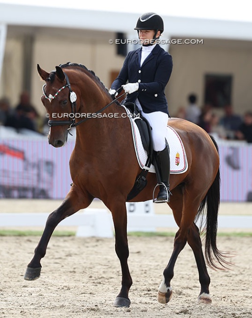 Krisztina Lipoczki on Fursten Fonix at the 2025 World Young Horse Championships :: Photo © Astrid Appels
