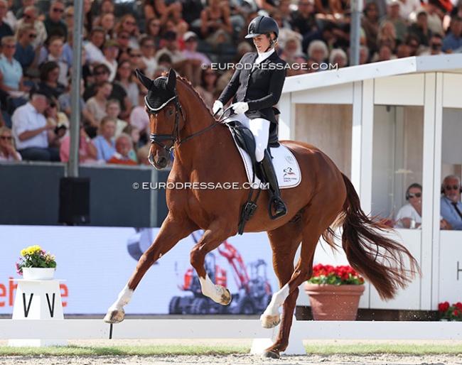 Johanna Wadenspanner on DSP Valentin at the 2025 World Young Horse Championships :: Photo © Astrid Appels
