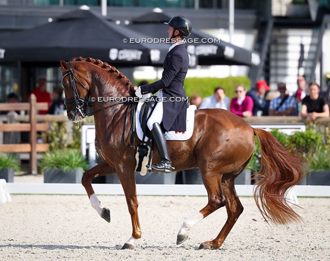 Chris von Martels and Londoncrown at the 2026 CDIO Lier :: Photo © Astrid Appels