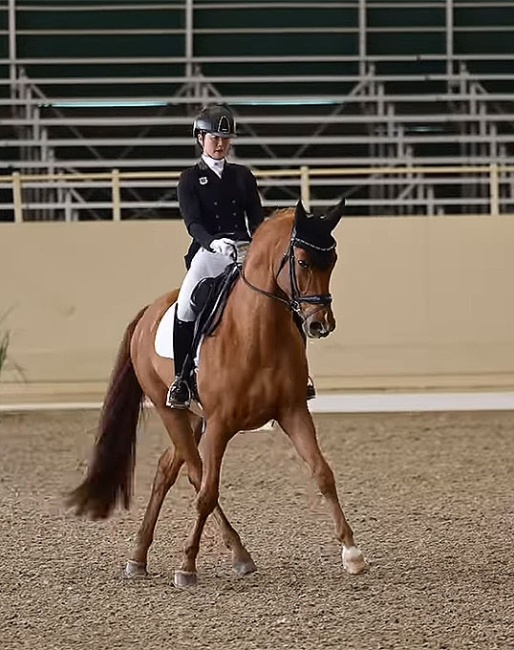 Miki Yang on Furst Fabelhaft, Lina Uzunhasan's Grand Prix horse which she sold to Akiko Yamazaki in December 2025