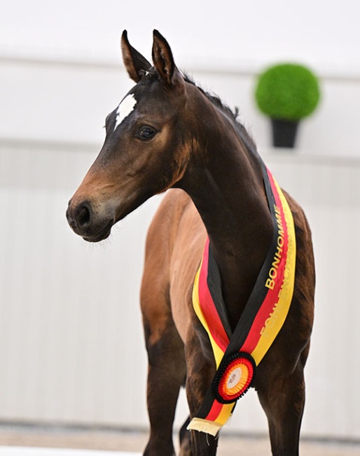 El Tri (by Erste Sahne x Belantis x Samba Hit) :: Photo © Bjorn Schroeder