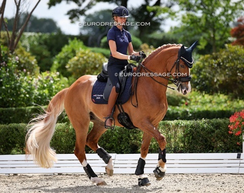 A 7-year old Nachtwacht schooling at the 2025 European Young Riders Championships :: Photo © Astrid Appels