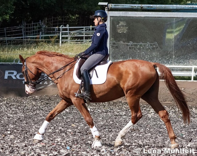 Uta Gräf demonstrating a proper giving of the reins on an S-level horse :: Photo © Luna Mühlfeit