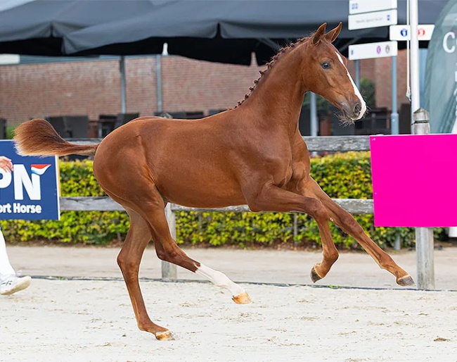 What The F*ck VDA (by Proud James x Vitalis x Furstenball) :: Photo © Digishots