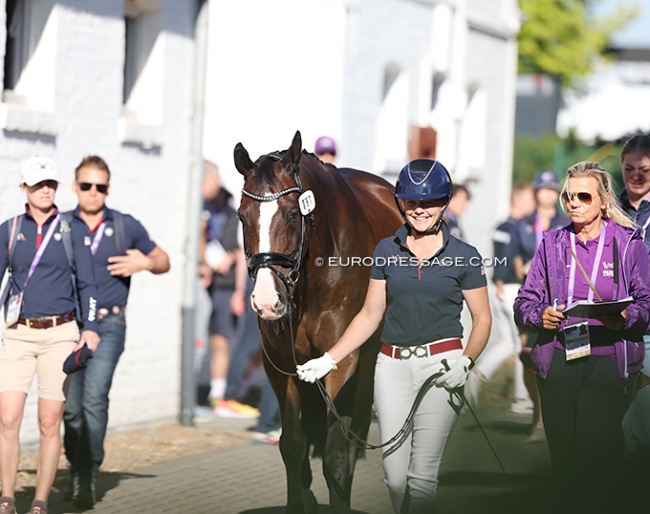 Horses being presented for trot up at the 2026 World Championships Dressage :: Photo © Astrid Appels