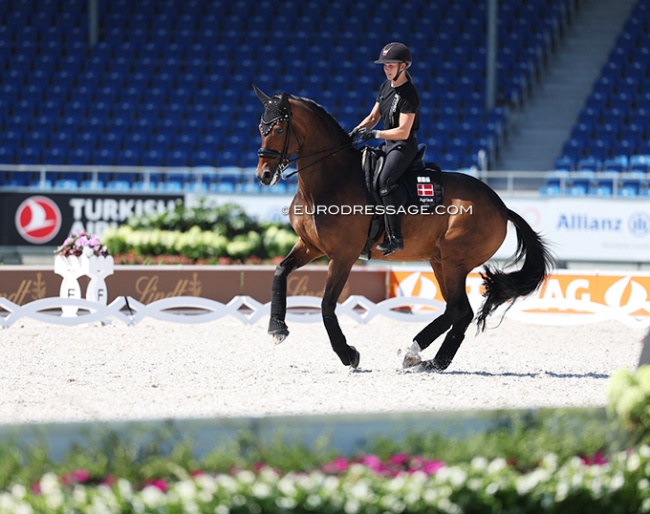 Cathrine Dufour and Mount St. John Freestyle schooling in Aachen :: Photo © Astrid Appels`