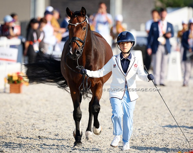 The competition's youngest competitor: Hong Kong's Kendra Li trotting up Ferati at the 2026 Asian Games :: Photo © Astrid Appels