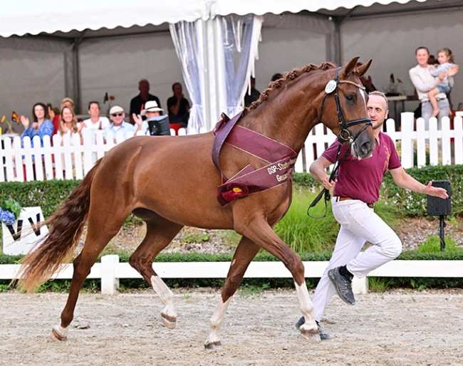 Fortuna (by For Romance x Don Diamond) :: Photo © Björn Schroeder