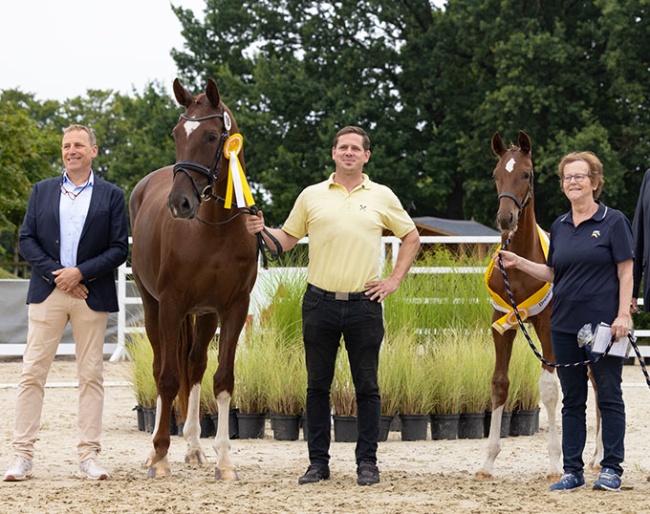 Winner of the Dressage-Oriented Filly Class: Filly by Von Und Zu/For Romance with Johannes Westendarp, Friederike Peters, Jan Crome-Sperling,
