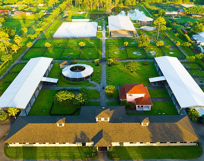 Poinciana Farm: an oasis of green and space, designed for horses